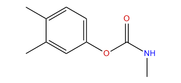 3,4-Dimethylphenyl methylcarbamate